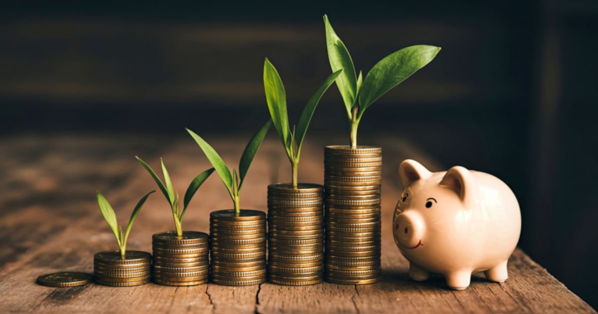 Do čeho můžete v rámci DIPu investovat